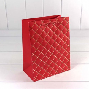 Пакет подарочный 