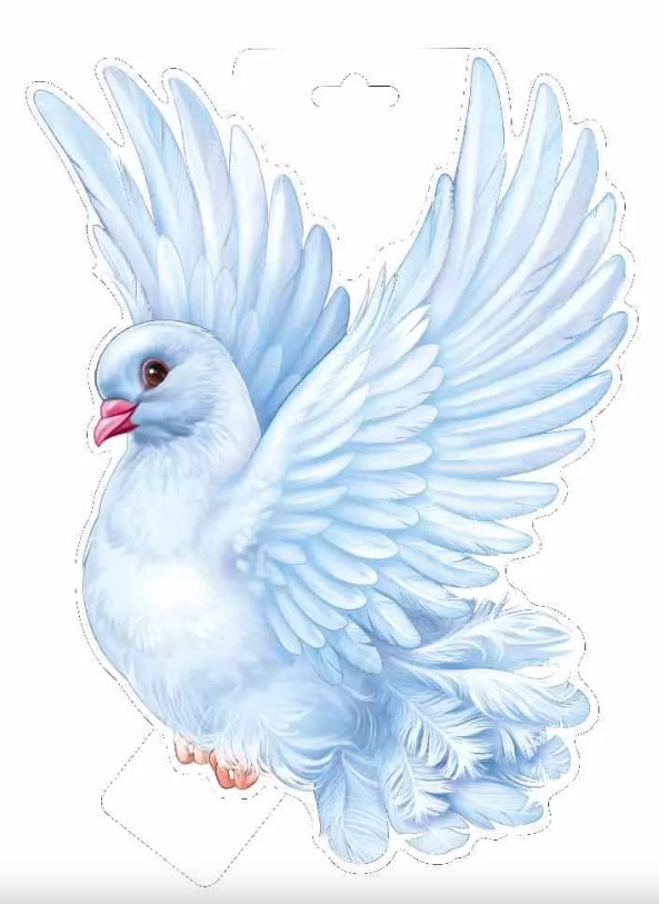 Плакат 'Голубь', 29,658,00