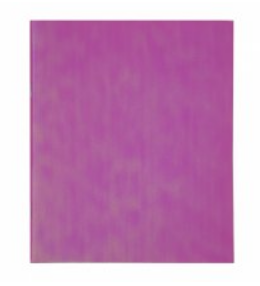 Тетрадь 48л., А5, клетка, Alingar, Pink chameleon, AL12401