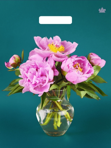 Пакет ПЭ с вырубной ручкой 31х40см (х50) (Любимые пионы) ламинированный Тико, ВУР61486