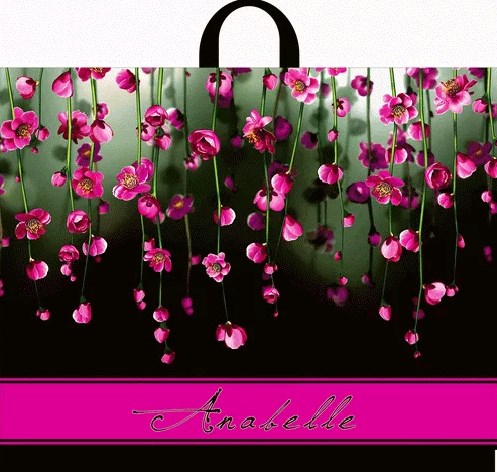 Пакет ПЭ с петлевой ручкой 60х50+6см (70) (Анабель), ПТЛ11415